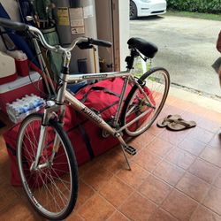 XL Specialized Crossroads Bike 