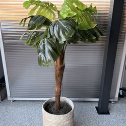 Small Indoor Faux Plant