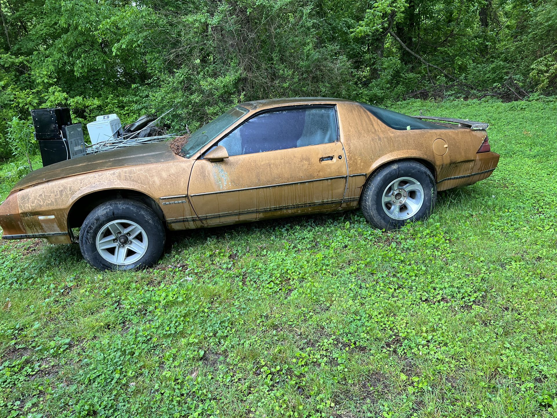 1981 Chevrolet Camaro