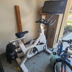MYX Fitness Bike 