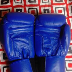 Pro Main Event Boxing Gloves