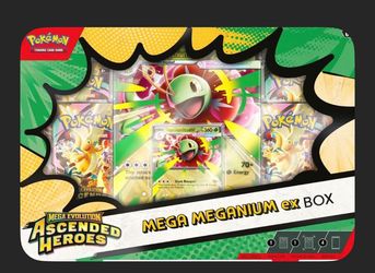 Ascended heroes ex box