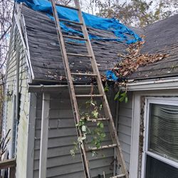 Shingle Part Of Roof 