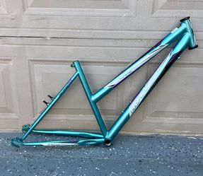 Mountain Bike Frame