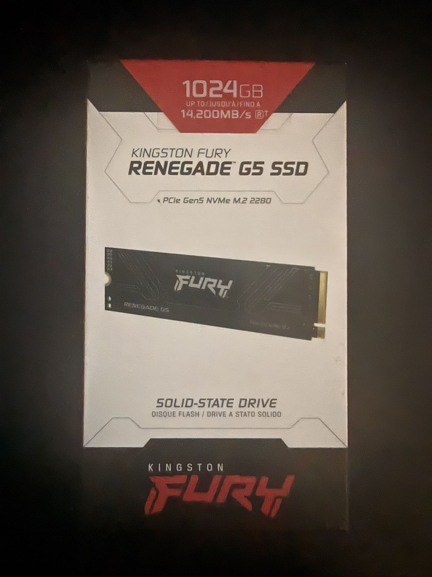 Kingston Fury Renegade G5 SSD 1024 Gb