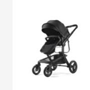 2-in-1 Convertible Baby Stroller  