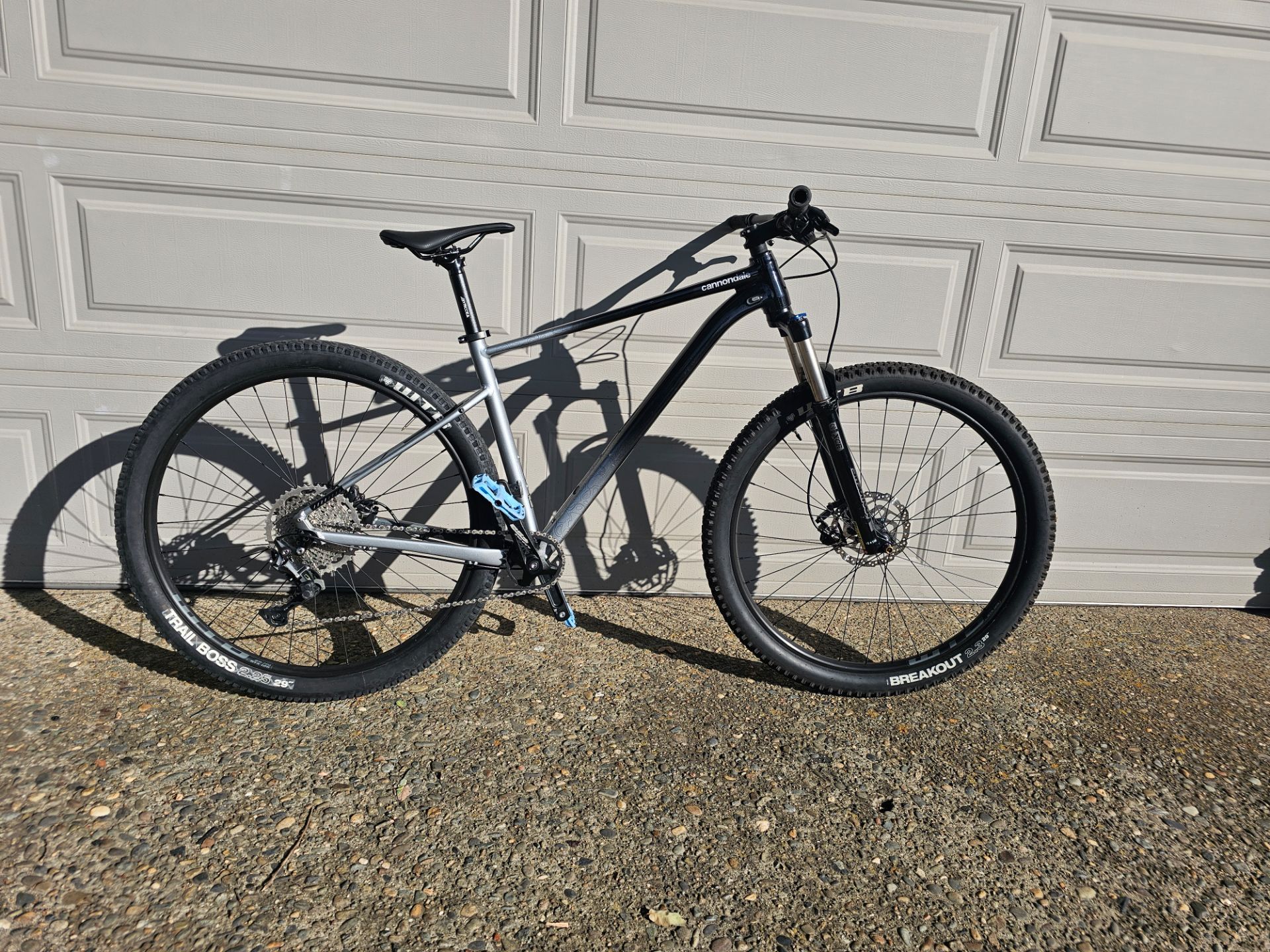 2021 Cannondale trail se4 L 29er