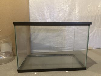Fish Tank