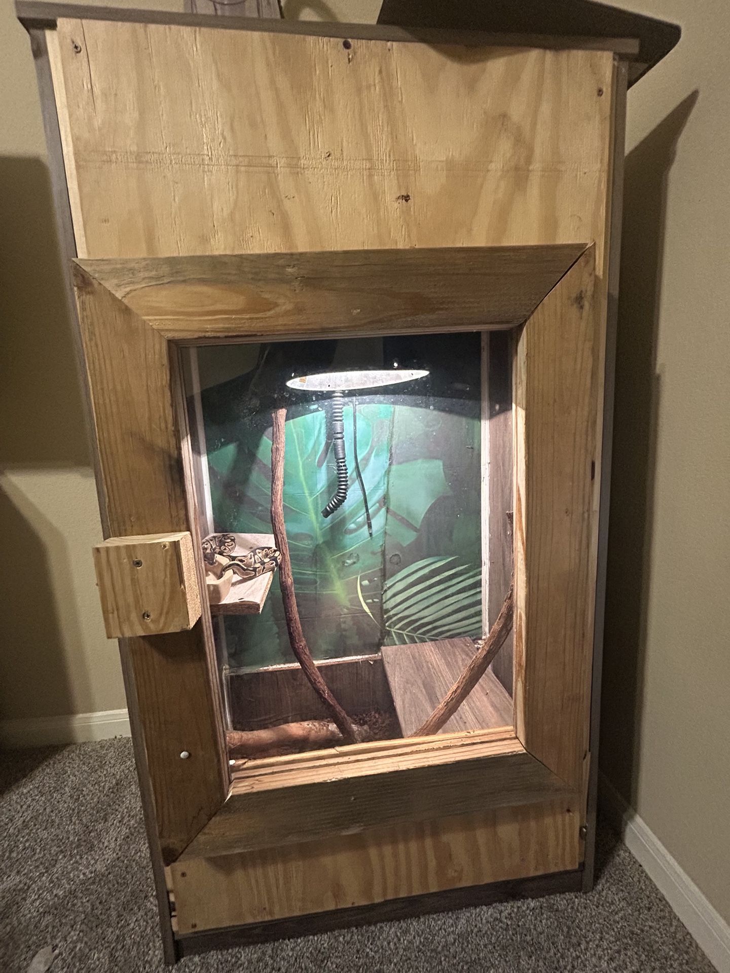 Reptile Enclosure