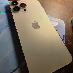 Apple  iPhone  13  Pro  Max 