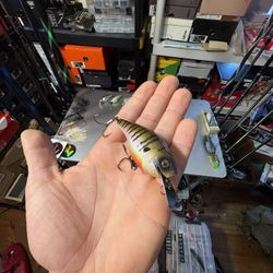 6th Sense Axis Metal 2.0 “Shad Burst” Brand New! 1/2 oz Crankbait 