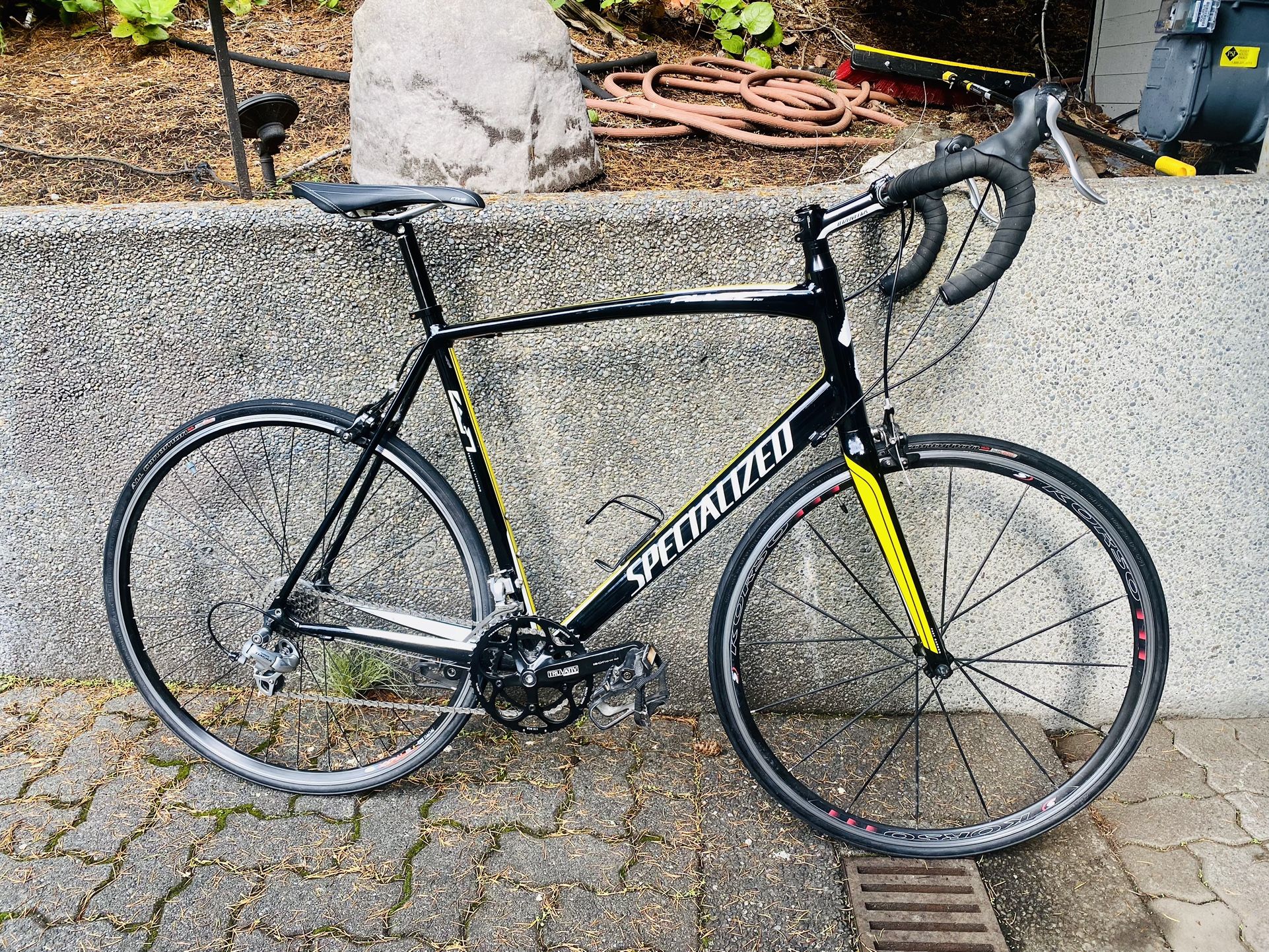 Specialized Allez Sport Carbon Fork Road Bike - 61cm for Sale in