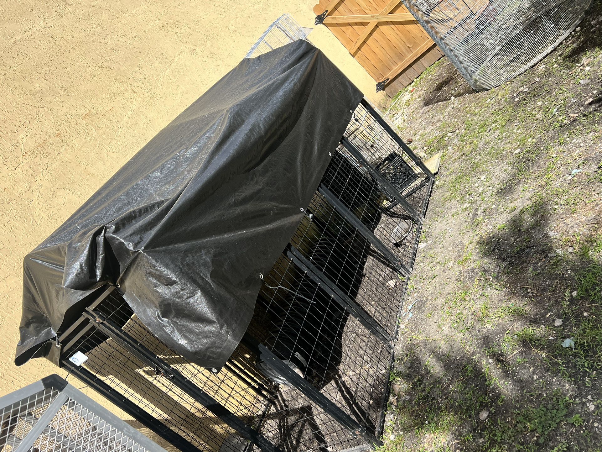 Dog Cage