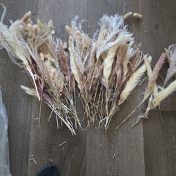 Assorted Mini Pamas Grass Decor 