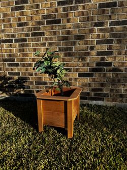 Box Planter