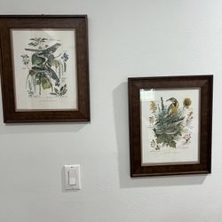 Pair Arthur Singer Framed Bird Wall Art Picture Print Vtg Meadowlark Mockingbird