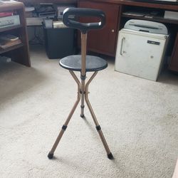Collapseable portable chair & Walking stick