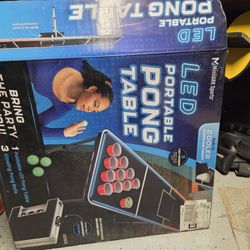 Beer Pong Table