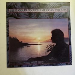 Jesse Colin Young – American Dreams LP Vinyl (1982 Elektra)