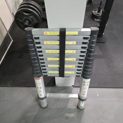 Telescoping Ladder (Pending Pickup)