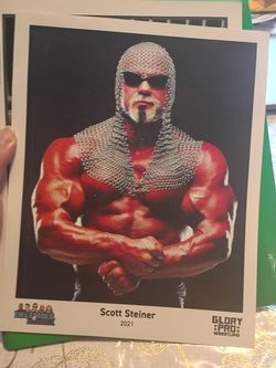 Scott Steiner picture