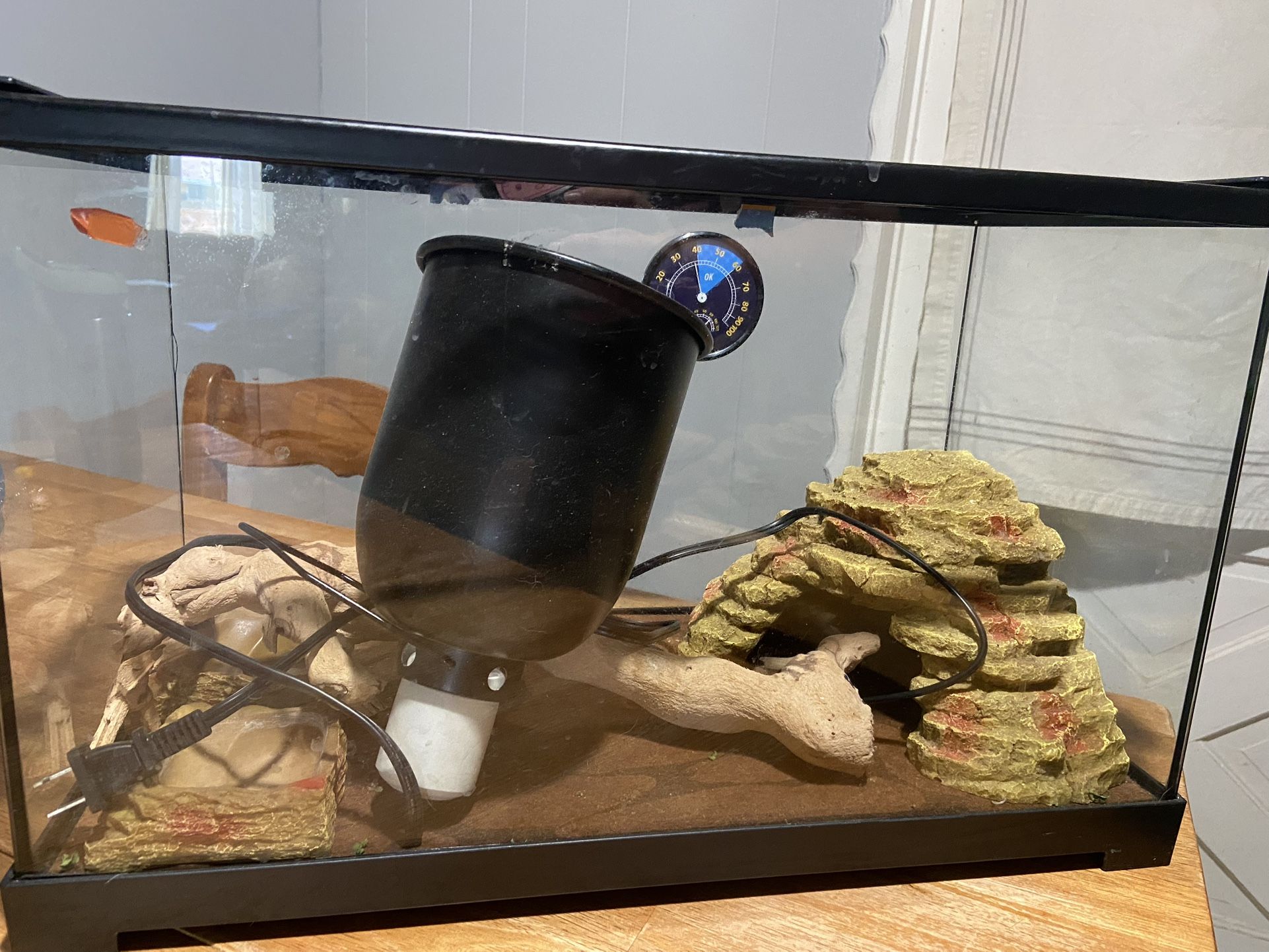 Tank