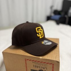 SD SnapBack 