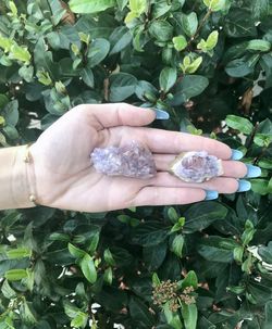 Thunder Bay Amethyst 🍇