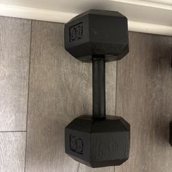Single 40 Lb Dumbbell