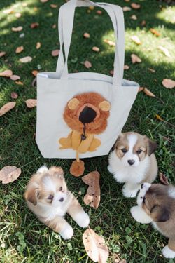 Pet canvas shoulder bag carrier lion shaped