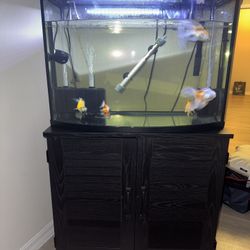 Fish tank