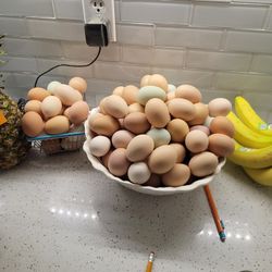 Eggs