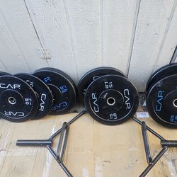 Trab Bar & Weighted Plates