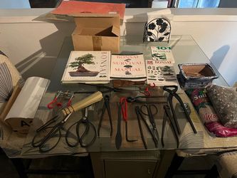 Bonsai starter tools and books