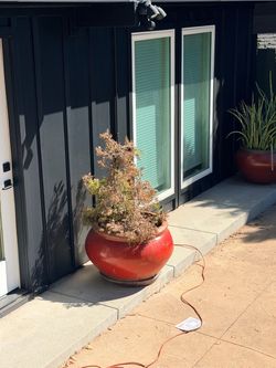 Three Outdoor Pots