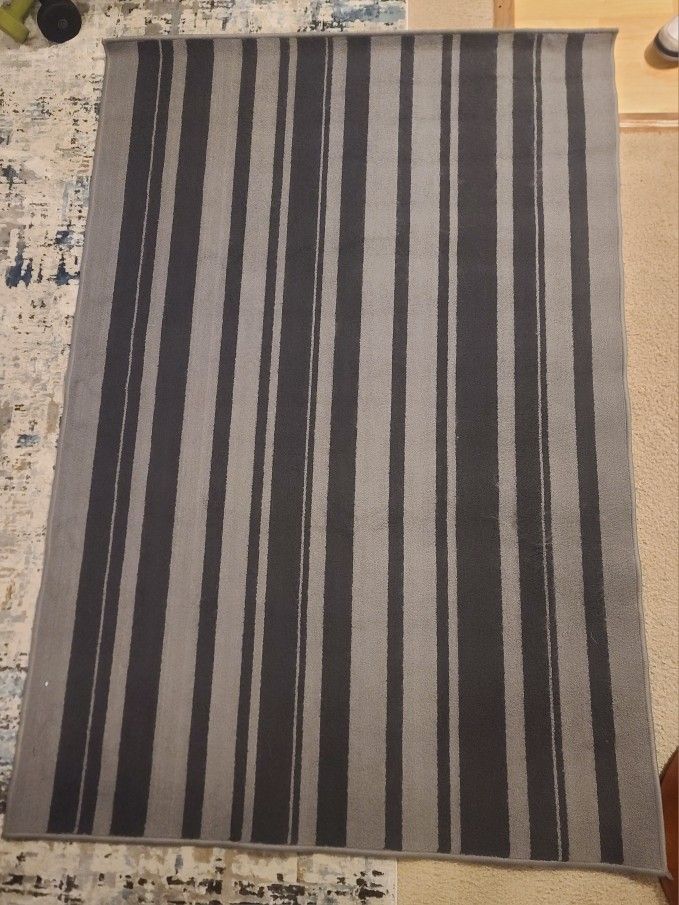 Ikea 4x6 Rug. Good Shape 
