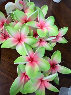 Foam Ear Flower - Plumeria & Hibiscus