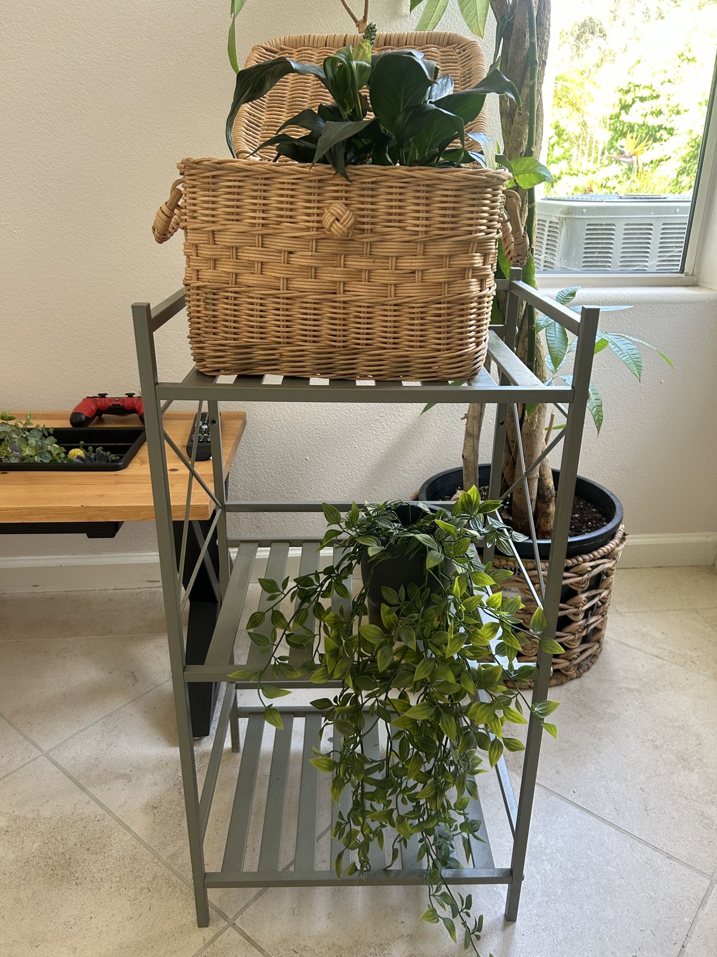 Plant Garden Shelves