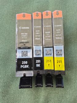 250/251 canon ink cartridges.