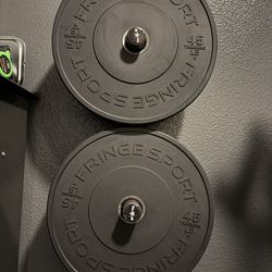 Fringe Sport 45lb bumper plates (pair)