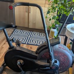Schwinn AD2 Airdyne