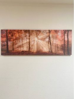 BEAUTIFUL CANVAS WALL ART