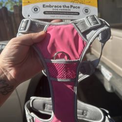 Dog harness