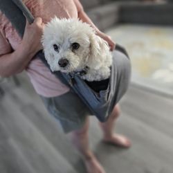 Pet Sling Bag 
