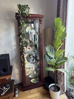 Pulaski Furniture Curio Cabinet - Model 1720230