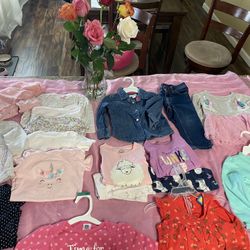 Baby Girl Clothing Size 18 Months 