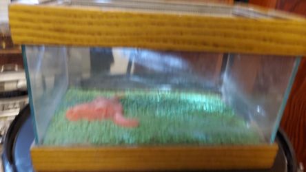 Mini cage