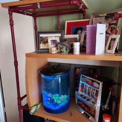 3 Gallon Fish Tank