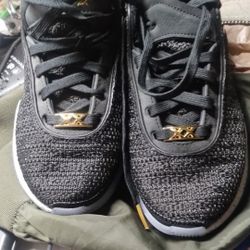 Nike Lebron's 