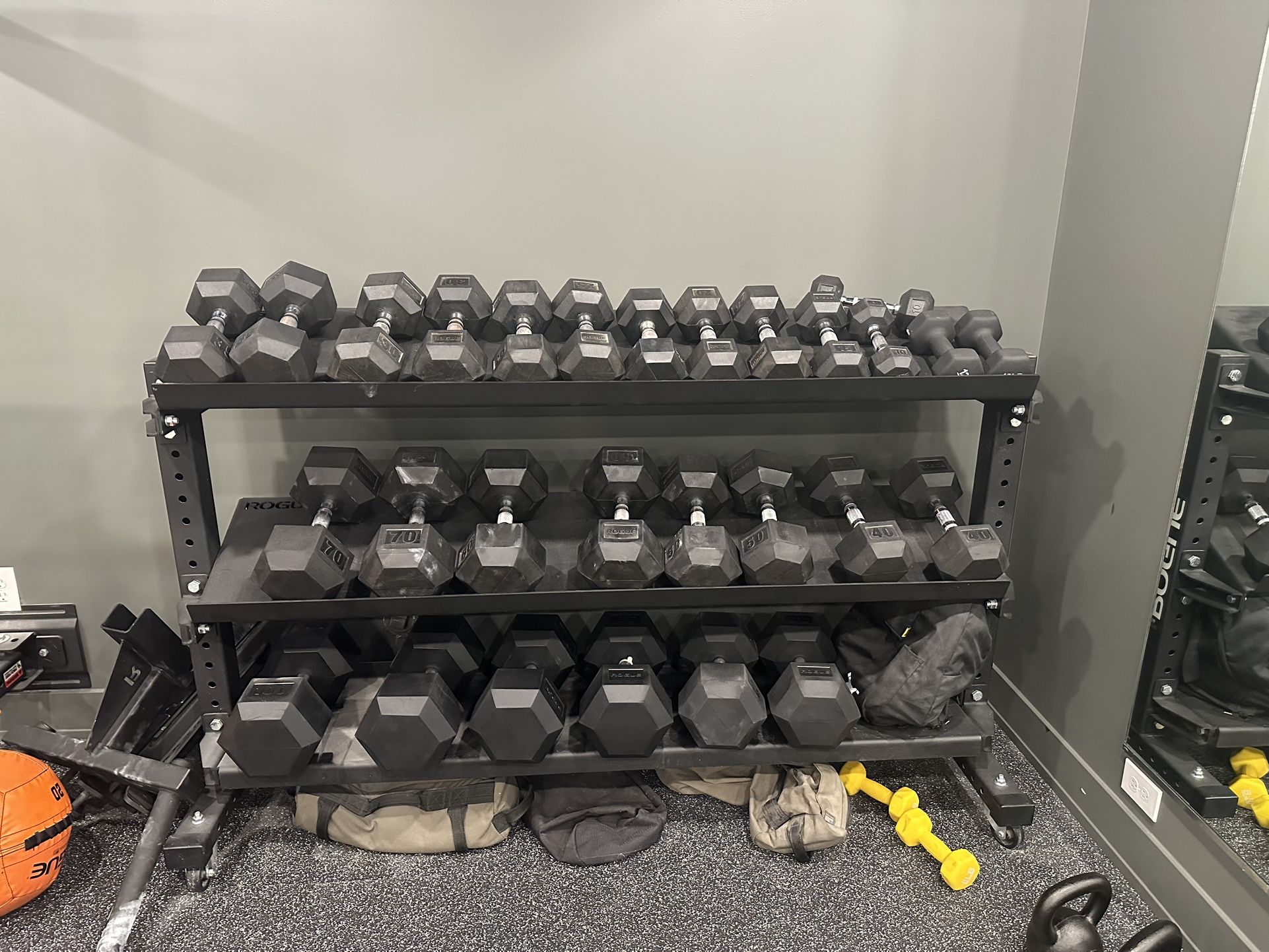 Rogue Dumbbells & Rack
